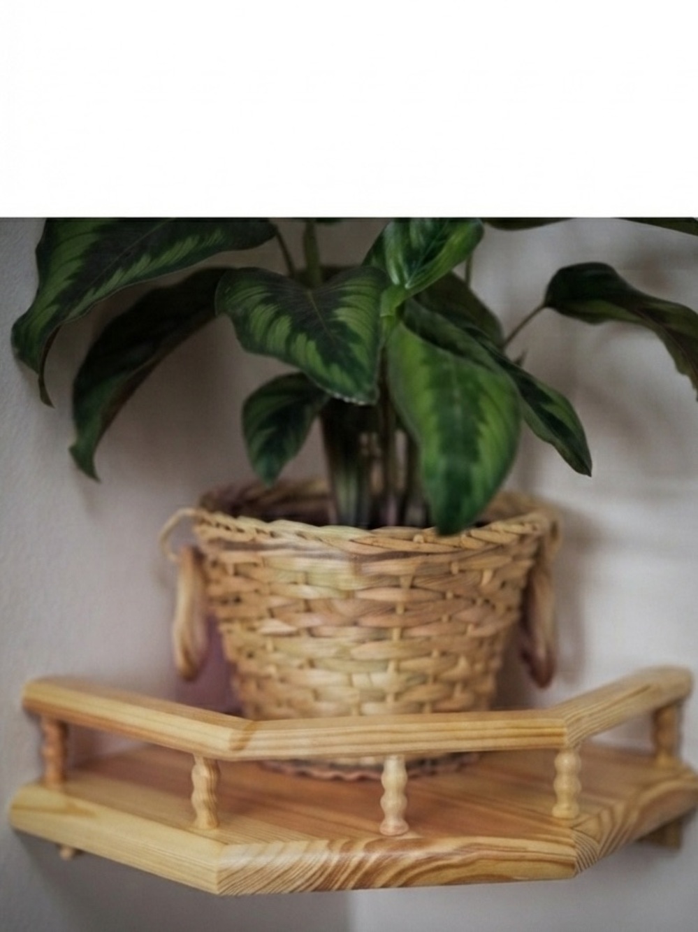 S&s ~  Solid Pine Gallery Shelf, 11-3/4" x 11-3/4" Brand New